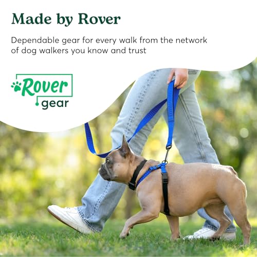 Better Walk No-Pull Dog Harness, Royal Blue, Small – Stay in Control with Adjustable, Comfortable, Easy to Wear, & Durable Dog Harness – Ideal for Small Dogs 21-35lbs with 20”-24” Girth Better Walk No-Pull Dog Harness, Royal Blue, Small – Stay in Control with Adjustable, Comfortable, Easy to Wear, & Durable Dog Harness – Ideal for Small Dogs 21-35lbs with 20”-24” Girth