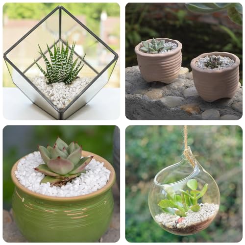 Image of 1.1 LB White Succulent Cactus Soil Cover Gravels, Decorative Small Rock | Indoor Plants,Natural Stones for Aquarium Fish Tank,Grow Media Cultivation Hydroponic Pebbles,2-5mm