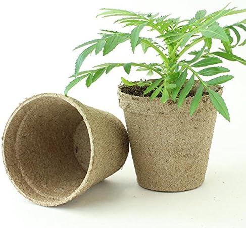 Jiffy 3 Round Peat Pots - OMRI Listed Organic - 100ct- Seed Starting - Propogating