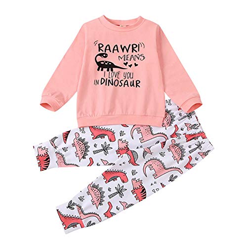 BOWINR Toddler Baby Girl Clothes Long Sleeve Letter Top Dinosaur Print Pants Set Winter Outfits(3_Years Pink)