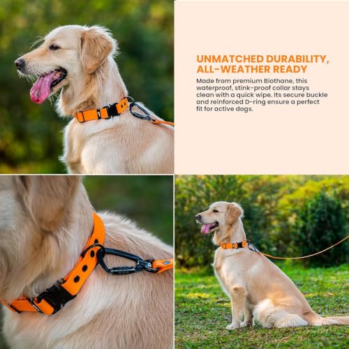 Image of Adil's Biothane Waterproof Dog Collar, Dog Leash & Collar Leash Combo | Heavy Duty TPU Coated Webbing | Adjustable Quick Release Buckle | Odour Resistant (Orange, M-18, Collar only)