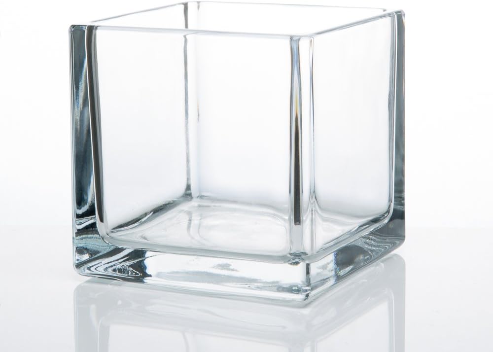 Richland Square Glass Cube Vase 5” Set of 12