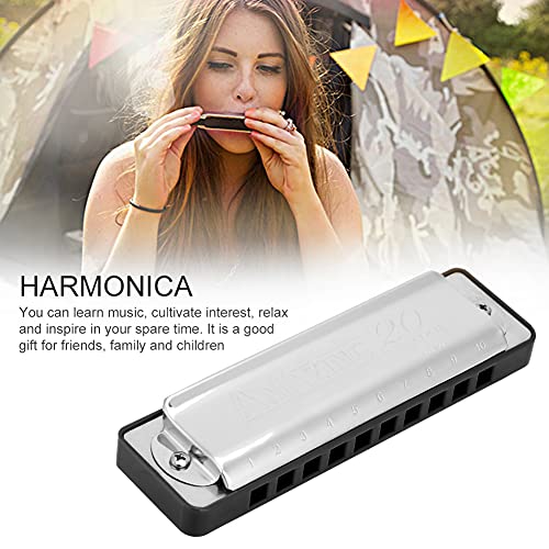 JIKALS D Harmonica Majeur Harmonica Stable Flexible Compact 20 Ton Harmonica Elegant Amis for Family Débutants… - Les Beatles, Paul McCartney, John Lennon, RIngo Starr, George Harrison JIKALS D Harmonica Majeur Harmonica Stable Flexible Compact 20 Ton Harmonica Elegant Amis for Family Débutants… – Image 4