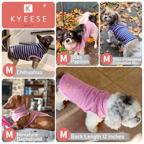 KYEESE 2Pack Dog Sweater Soft Dogs Clothes Warm Pets Clothes Turtleneck Pets Coats Dog Sweaters for Small Dogs Girl Pullover Small Pet Sweaters Stretchy Pet Sweatshirt - Image 7