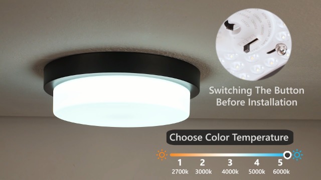 Image of 13 inch Black LED Flush Mount Ceiling Light, 24W, 5CCT | 2200LM, 2700K /3000K /4000K /5000K /6000K, Close to Ceiling Light Fixtures for Bedroom Hallway Kitchen, Milk Glass, AD-22008-L-BK