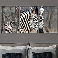 3 Piece Framed Canvas Wall Art Black and White Animals Canvas Prints Home Artwork Decoration for Living Room,Bedroom - 16