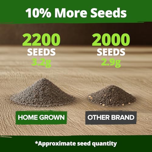 Image of HOME GROWN California Poppy Mission Bells 2200 Seeds (2g) - Flower Seeds for Planting Outdoors, Vibrant Spring & Summer Blooms, Drought Tolerant Annual for Sunny Gardens (Eschscholzia californica)