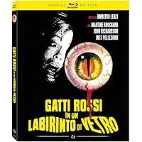 Gatti rossi in un labirinto di vetro