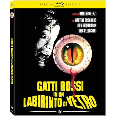 Gatti rossi in un labirinto di vetro