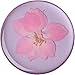 PopSockets: PopGrip with Swappable Top for Phones and Tablets - Pressed Flower Delphinium Pink