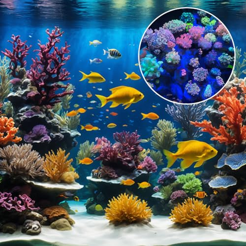 Bouchons en céramique pour fragments d'aquarium et boutures - 5