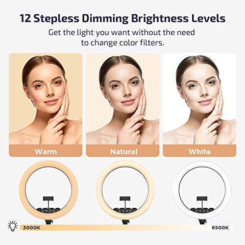 LETSCOM 18 inch Ring Light with Tripod Stand & Phone Holder, 3000K-6500K Dimmable Led Light, Touch and Remote Controller Lighting Kit for Photo Studio/Makeup/YouTube/TIK Tok/Camera, Carrying Bag