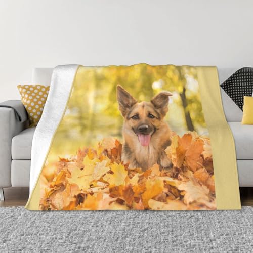 GARuPbg  W[} VFp[h h }CNt@Co[̏_炩 lGʗp AQp Qp N[[ P[vp h΍ 蕨 76×102cm