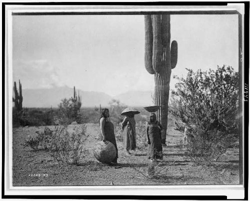 Foto: Saguaro Fruit Sammler, Maricopa (, Arizona, AZ, kaktus Pflanze, Frauen mit Körben, 1907