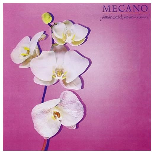 ¿Donde Esta El Pais De Las Hadas?