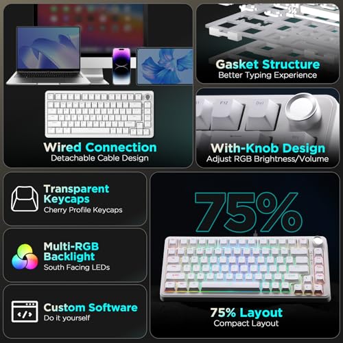 YUNZII B75 75% 有線 メカニカルキーボード ホットスワップ対応 ガスケット搭載 RGBバックライト 高耐久 英語配列 PBTキーキャップ チェリープロファイル Win/Mac用 (ホワイト, RGB ブルーグレー タクタイルスイッチ)
