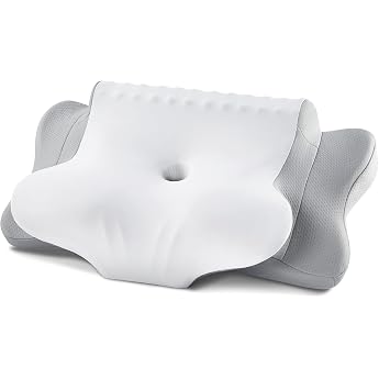 LOFTER Neck Pillow Memory Foam Pillow Ergonomic Pillow