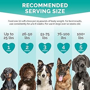 Premium Care Hemp Calming Chews for Dogs Anxiety  Made in Usa Calming Dog Treats Dog Calming Chews  Anxiety Relief Treats Dog Barking Deterrent Anxiety Relief for Dogs 60 Duckflavored Chews  Cucciolini Doodles Premium care hemp calming chews for dogs anxiety  made in usa calming dog treats dog calming chews  anxiety relief treats dog barking deterrent anxiety relief for dogs 60 duck flavored chews   cucciolini doodles