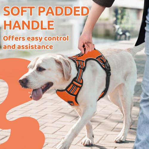 HTTDSLF Hundegeschirr Grosse Hunde, Anti Zug Hundegeschirr, Geschirr Hund Groß mit Reflexstreifen und Kontrolle, Verstellbar und Einstellbar, Brustgeschirr Hund für mittelgroße Hunde, Orange, L