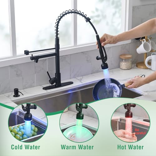 Image of Fapully LED Commercial Kitchen Faucets with Pull Down Sprayer Matte Black