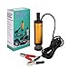 flintronic Bomba de Agua y Aceite, 12V Bompa Sumergible de Acero Inoxidable...