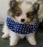 Puppy Bumper, Navy Dot, up to 10 inches