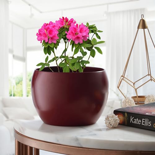 Image of Sunshine Elegant Matte Finished Dustfree Tabletop Red Flower Pot Planter | Metal Plant Pot for Indoor Succulent Plants, Living Room, Home Decor, Office, Restaurant