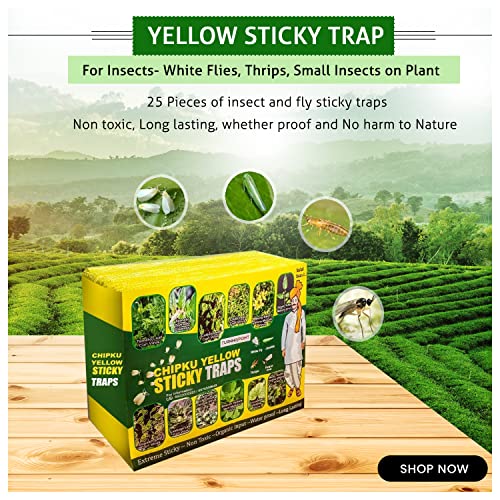 Image of Chipku A5 Yellow Sticky Trap for Insects Pack of 25 Sheets| for Garden & Agriculture to Control Whiteflies, Aphids, Thrips, Jassids| Fly Catcher Insect Catcher Glue Trap for 100% Results