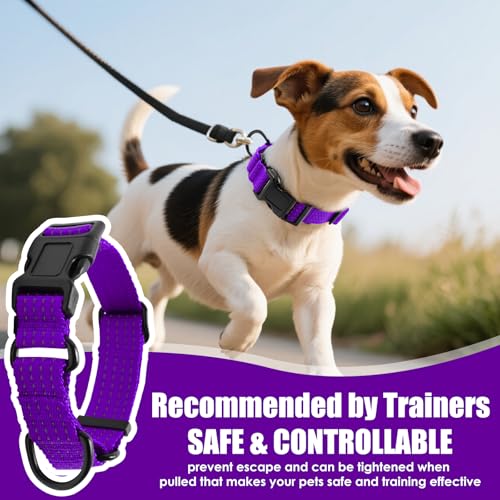 Image of Martingale Dog Collar, Reflective No Pull with Buckle,Purple, XS | Escape Proof without choking ,Training Collar with Quick Release Buckle, Adjustable Heavy Duty Nylon collars for S M L Dogs
