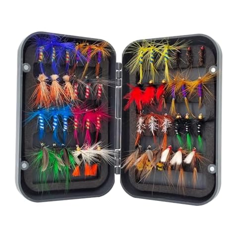 Raprance Fly Fishing Flies Kit with Fly Box，48/64/66/100 Fly Fishing Flies Assortment for Bass Trout Salmon Fishing (48 pcs Flies kit with Magnetic Fly Box) Cover
