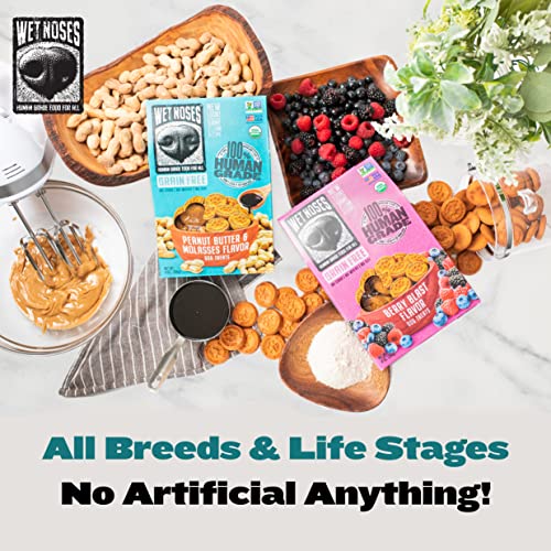 Wet Noses Organic Crunchy Dog Treats – For All Pet Sizes, Breeds – All-Natural Puppy Treat, Senior Dog Snack – 100% Human-Grade – Delicious Chews For Dogs – Grain-Free Peanut Butter & Molasses, 5 Lb #TOP2