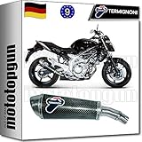 SUZUKI GLADIUS 2015 15 TERMIGNONI EXHAUST HOM OVAL CARBON GLADIUS 2015 15 S065080CO
