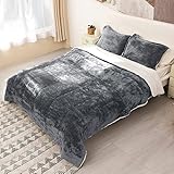 Catalonia Classy Fleece Sherpa Bettbezug Set, Wendbare Kuschelige Thermo Flauschig Warme Weiche Bettwäsche Bettbezug Set, Blau, 230 x 260cm, 1 Bettdecke und 2 Kissenbezüge, King Size, Grau
