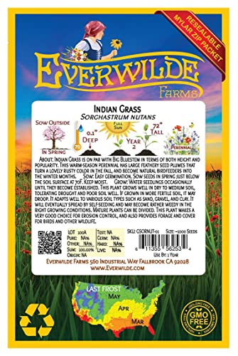Everwilde Farms Indian Grass Native Seeds #TOP12