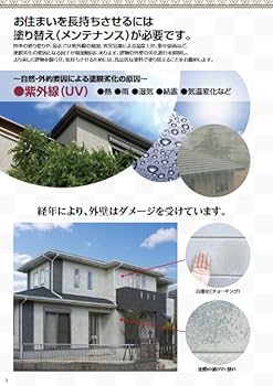 51rVCzLatPL._AC_UF350,