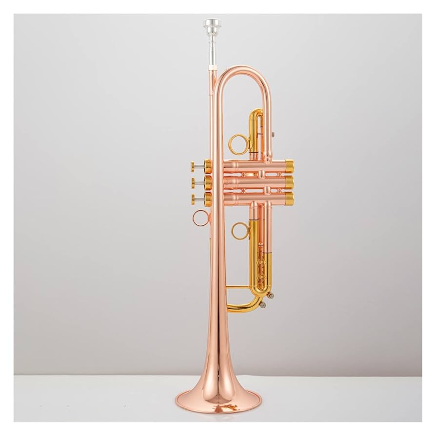 Amazon.co.jp: トランペット スタンダード ブラス ローズ