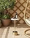 AEPOALUA Drink Table Pedestal, Round Side Table, Drink Tables for Small Spaces, Pedestal End Table, Small Pedestal Table (Gold)