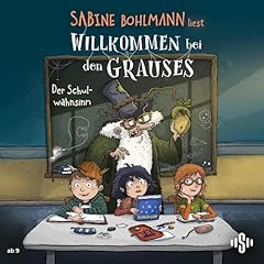 Der Schulwahnsinn Titelbild