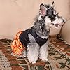 CuteBone Thanksgiving Dog Fall Dresses Costume Velvet Holiday Small Dogs Clothes Onesie Pet Apparel Girl Puppy Skirt with Bow Hair Rope CVA52M-D #5