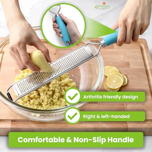 Image of Spring Chef Stainless Steel Lemon Zester, Garlic & Ginger Grater - Aqua Sky