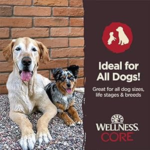 Wellness CORE Energy Packed Canine Treats (Beforehand Pure Rewards), Grain-Free Tender Jerky Treats, Made in USA (Beef Recipe, 4-Ounce Bag)