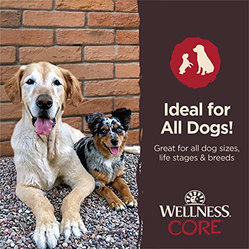 Wellness CORE Energy Packed Canine Treats (Beforehand Pure Rewards), Grain-Free Tender Jerky Treats, Made in USA (Beef Recipe, 4-Ounce Bag) Wellness CORE Energy Packed Canine Treats (Beforehand Pure Rewards), Grain-Free Tender Jerky Treats, Made in USA (Beef Recipe, 4-Ounce Bag)