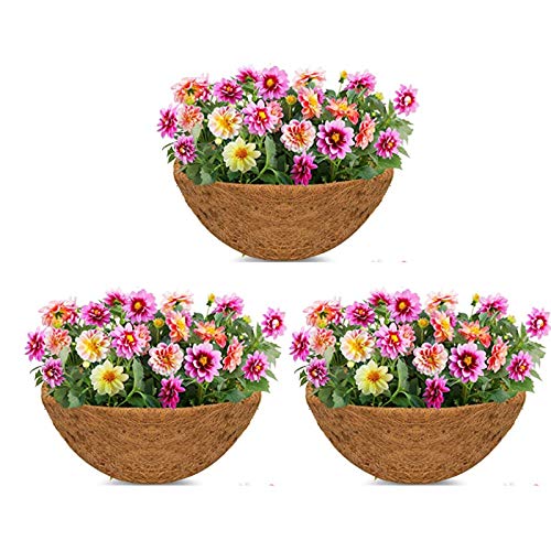 Lot de 3 revêtements de rechange en fibre de coco naturelle pour pots de fleurs - 25,4 cm
