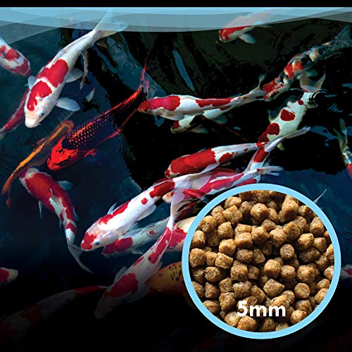HALF OFF PONDS All Seasons Nourishing Formula Koi and Goldfish Food 15 lbs. Bag - KOIAS-015