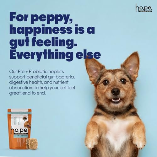Image of Hope Pre & Probiotics Supplement for Dogs - 60 Chicken hoplets | Tasty Pet Chews with Hing for Absolute Gut Health, Gas, Itching, Scratch Relief | Coldpressed| Air-Dried | Honest Pet Co