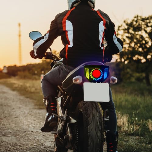 Luces traseras LED para motocicleta homologadas con luces de señal de giro integradas 3