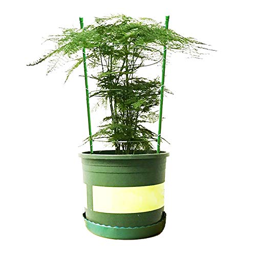 image for Mimeela 4 Pack Garden Plant Support Tomato Cage, Upgrade 18