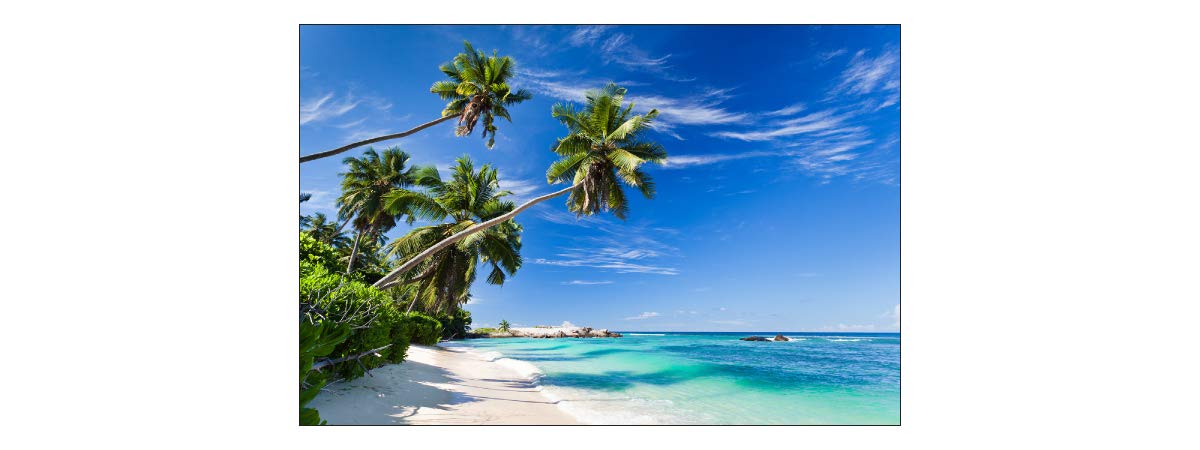 Muralo Fototapete Vlies Strand, Ozean, Himmel, Palmen, XXL - 210x315 cm | Fantasievolle Tapete, hochauflösender Druck - ideal für Wohnzimmer und Schlafzimmer, Urlaubsfeeling für jeden Tag