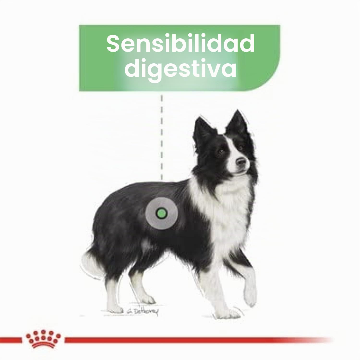Royal Canine Adult Digestive Care Medium 12KG