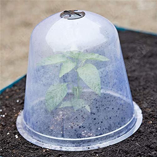 6Pcs Plant Cloche Plastic Dome, Durable Humidity Plant Protect Bell Cover for Outdoor Garden
